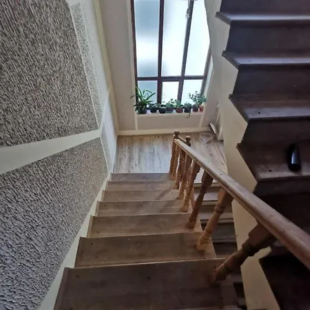 Apartman Milanovic Soko Banja