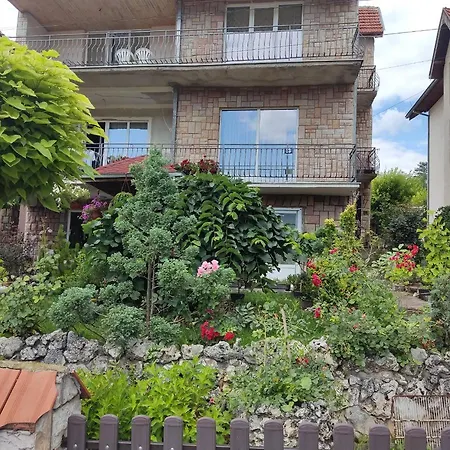 Apartman Milanovic Apartment Soko Banja